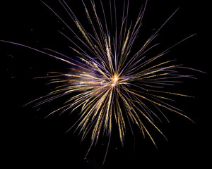 Fototapeta premium fireworks in the night sky