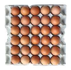 Eggs in egg tray