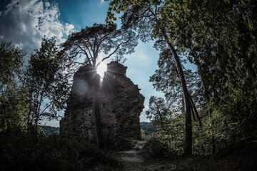 Roost ruins abandoned in woods