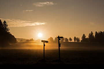 Lonely signs in foggy landscape