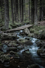 Mountain brook waterfall time lapse