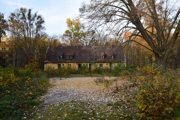 Fototapeta na wymiar abandoned house autumn