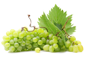 Grapes on a white background
