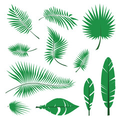 Collection d& 39 icônes de feuille de palmier, silhouettes de feuilles de jungle