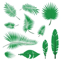 Papier Peint photo Feuilles tropicales Collection d& 39 icônes de feuille de palmier, silhouettes de feuilles de jungle