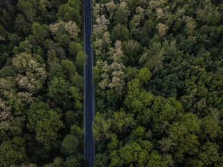 Road from the bird perspective