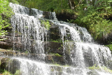 Obraz premium waterfall in the forest