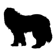 Naklejka premium Newfoundland Standing On a Side View Silhouette Found In Map Of North America.
