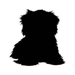 Norfolk Terrier Dog Sitting On a Front View Silhouette Found In Map Of Europe. 
