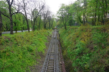 Fototapeta premium Railroad between the trees