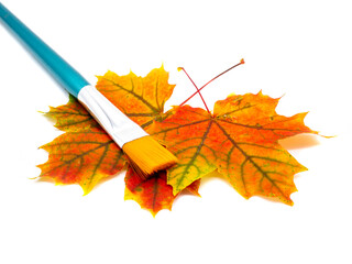 Blätter anmalen im Herbst isoliert auf weißen Hintergrund