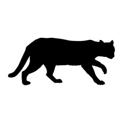 Ocelot (Leopardus pardalis) Walking On a Side View Silhouette Found In Map Of Central And South America. Good To Use For Element Print Book, Animal Book and Animal Content