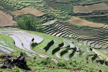 Laocai Vietnam April 18 2015 Vietnam Paddy fields, terraced culture, Sapa, Vietnam
