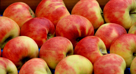 ripe apples display for sale on a farmers market