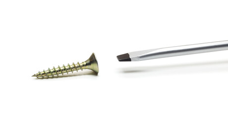 screwdriver and self-tapping screw isolated on white background
