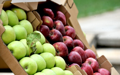 ripe apples display for sale on a farmers market