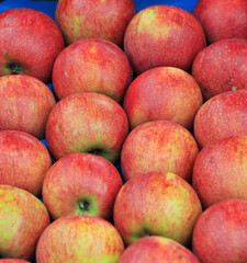 ripe apples display for sale on a farmers market