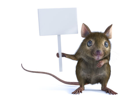3D rendering of a mouse holding blank sign.