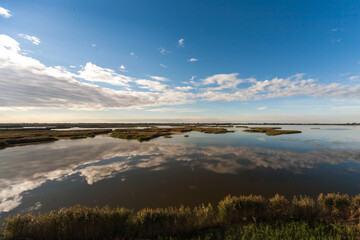 Ravenna - Swampland water reflecion - italy