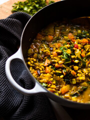 Rustic mung bean dahl curry in natural light.
