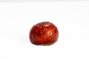 single 1 chestnut kastanie isolated  with water rain on it