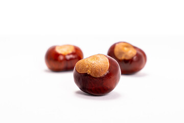 isolated pile of chestnuts kastanien 