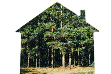 Silhouette of a house on white paper with a pine forest background.