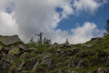 views in the upper Valle Gesso