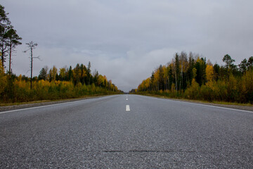 A straight two-lane road goes through an autumn forest under a gray sky