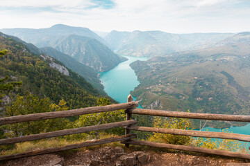 Tara National Park, Serbia. Viewpoint Banjska Stena. View at Drina river canyon and lake Perucac with Focus on the lake and canyon