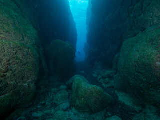 Unterwasserlandschaft Azoren