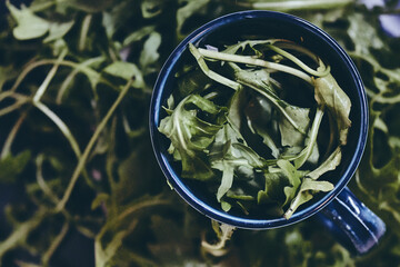 Fresh Rocket