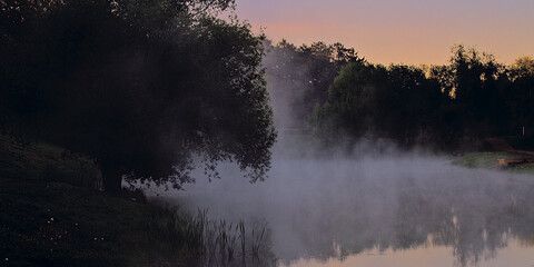 pond in the fog