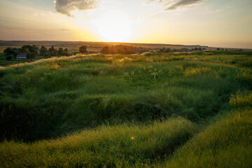 The morning sun and the orange sky. The beam of the sun hitting trees and flowers of grass.