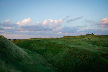 The morning sun and the orange sky. The beam of the sun hitting trees and flowers of grass.