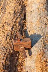 A small vintage planer rests on a stick and the sunlight blurs.