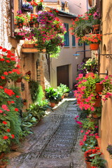 Fototapeta na wymiar Urban scenic of Spello, Italy