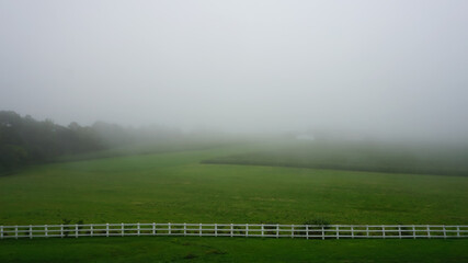 White fences, grass, lots of fog.