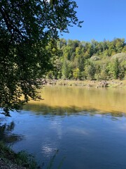 lake in the forest