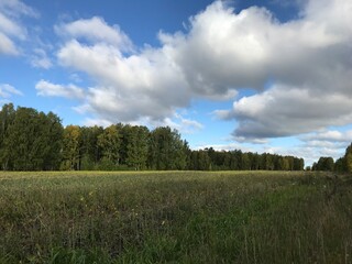 field and blue sky
