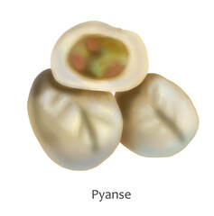 Pyanse or pigodi  - Russo-Korean steamed pie, bun, or dumpling. Hand drawn illustration on white background for clipart. 