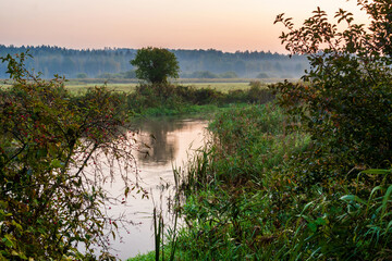 Dolina rzeki Supraśl w Puszczy Knyszyńskiej, Podlasie, Polska