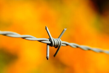 Stacheldrath vor leuchtenden Herbstfarben