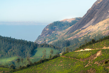 Mountains and valleys of Munnar