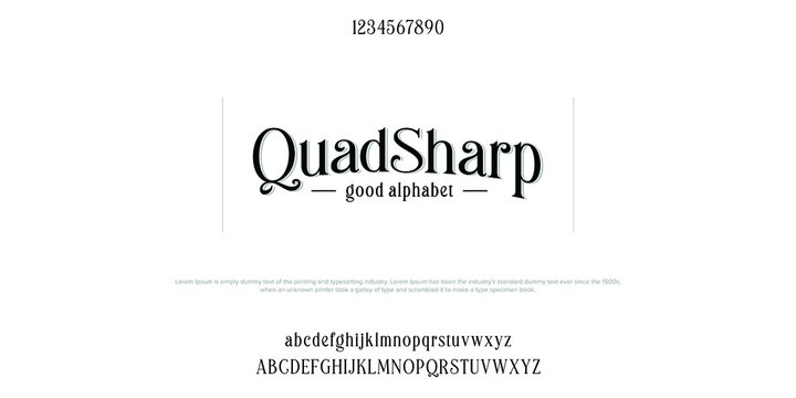 Custom font bundle script serif. Alphaber vector illustration