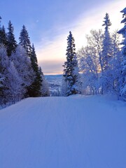 Skiing under a blue sky in the beautiful ski resort of Åre (Aare) Sweden