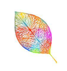Colorful autumn leaf. Mixed media. Vector illustration