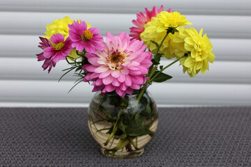 Vase with dahlias and cosmos stands on the table