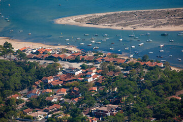 Naklejka premium Cap Ferret