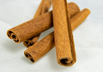 Popular condimento que se extrae de la corteza y se emplea como condimento.